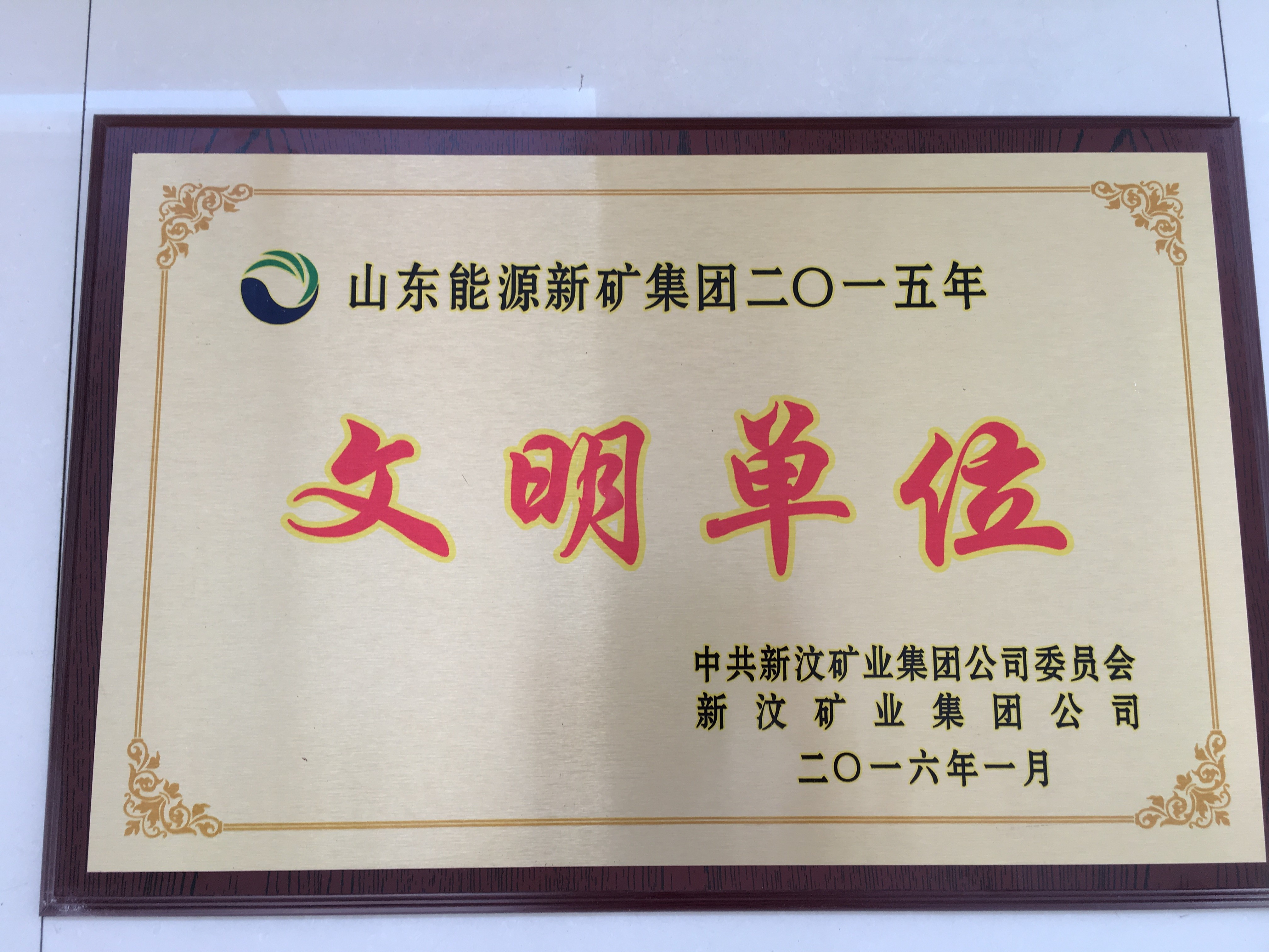 山东能源新矿集团2015年度先进单位.JPG